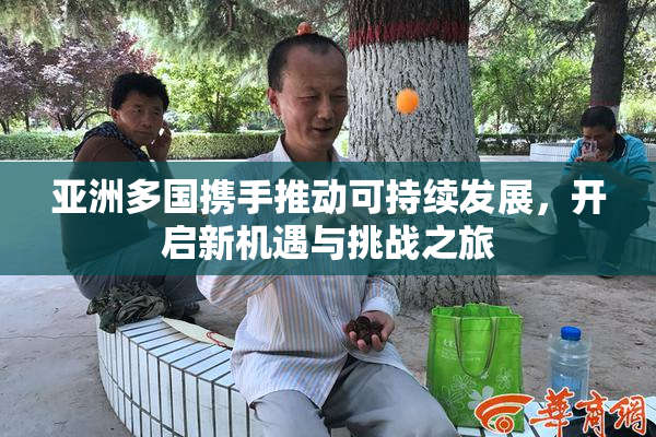 亚洲多国携手推动可持续发展，开启新机遇与挑战之旅
