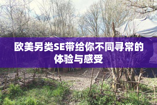 欧美另类SE带给你不同寻常的体验与感受