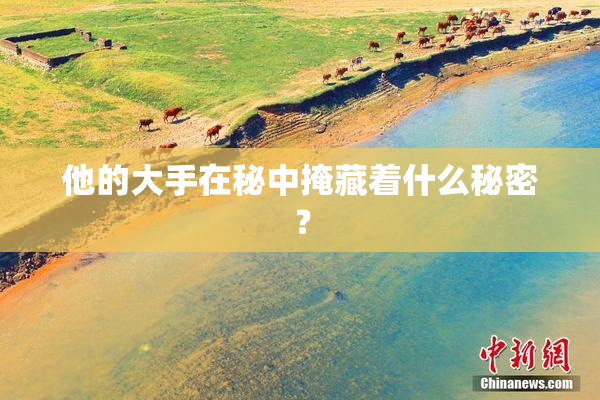他的大手在秘中掩藏着什么秘密？