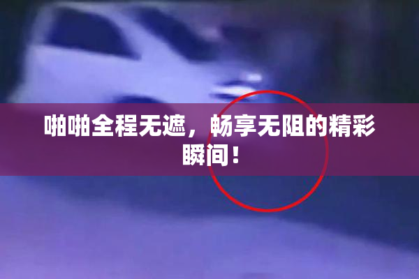 啪啪全程无遮，畅享无阻的精彩瞬间！