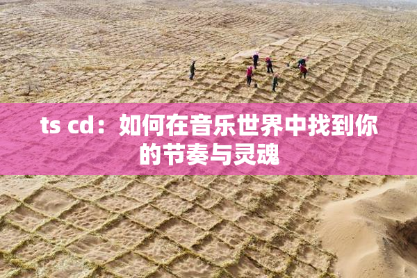 ts cd：如何在音乐世界中找到你的节奏与灵魂