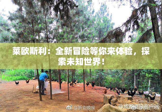 莱欧斯利：全新冒险等你来体验，探索未知世界！