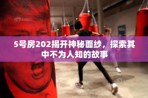 5号房202揭开神秘面纱，探索其中不为人知的故事