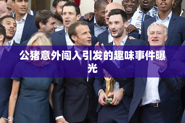 公猪意外闯入引发的趣味事件曝光
