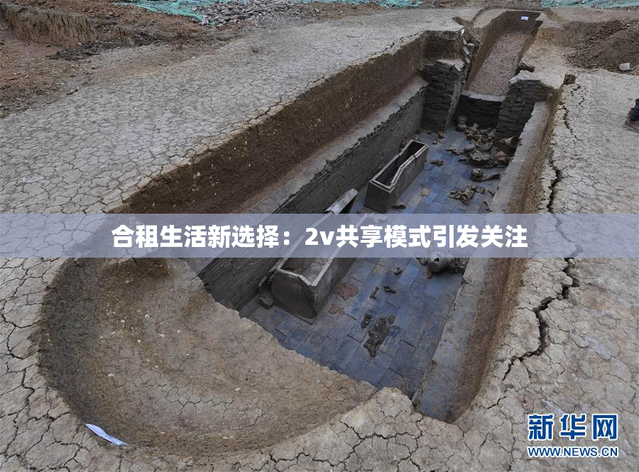 合租生活新选择：2v共享模式引发关注