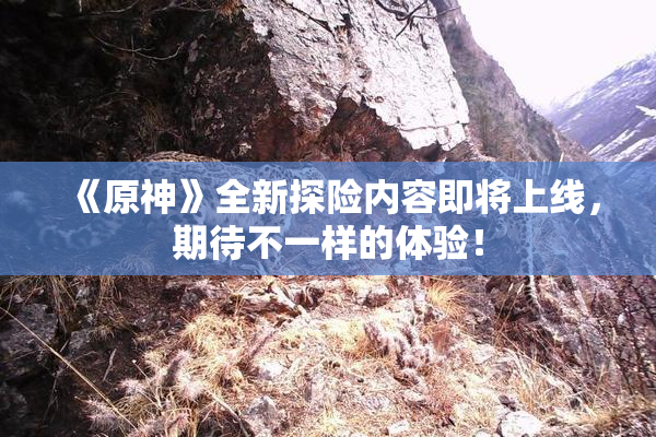 《原神》全新探险内容即将上线，期待不一样的体验！
