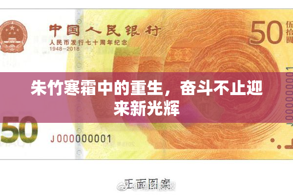 朱竹寒霜中的重生，奋斗不止迎来新光辉