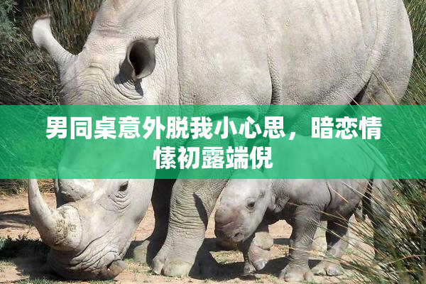 男同桌意外脱我小心思，暗恋情愫初露端倪