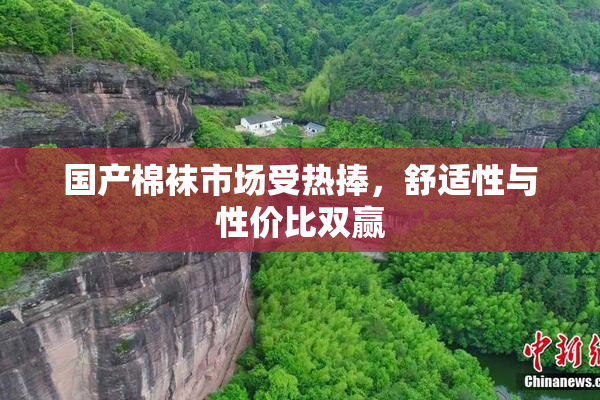 国产棉袜市场受热捧，舒适性与性价比双赢