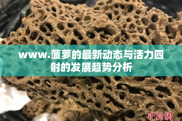 www.菠萝的最新动态与活力四射的发展趋势分析