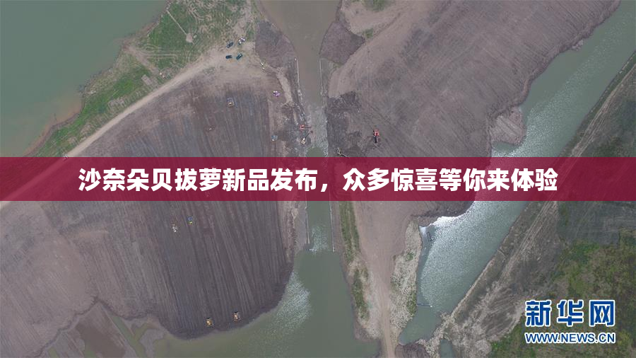 沙奈朵贝拔萝新品发布，众多惊喜等你来体验