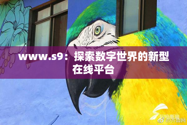 www.s9：探索数字世界的新型在线平台