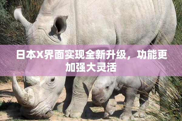 日本X界面实现全新升级，功能更加强大灵活