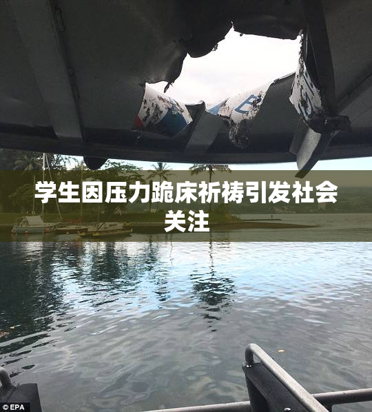 学生因压力跪床祈祷引发社会关注
