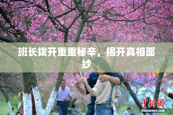 班长拨开重重秘辛，揭开真相面纱