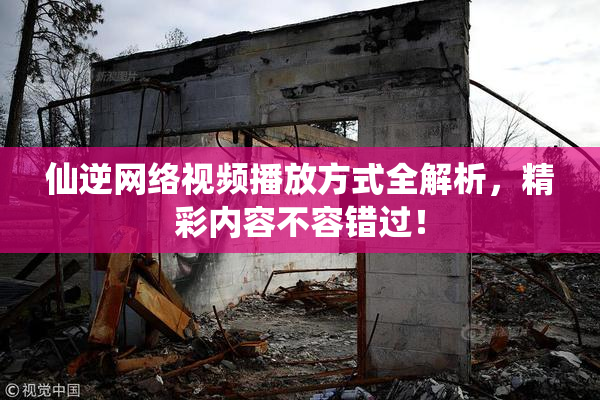 仙逆网络视频播放方式全解析，精彩内容不容错过！