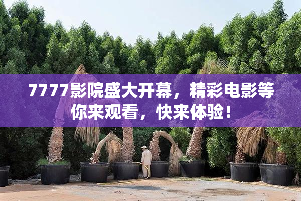 7777影院盛大开幕，精彩电影等你来观看，快来体验！