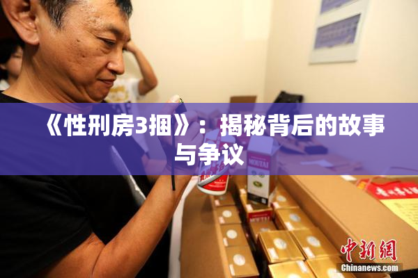 《性刑房3捆》：揭秘背后的故事与争议