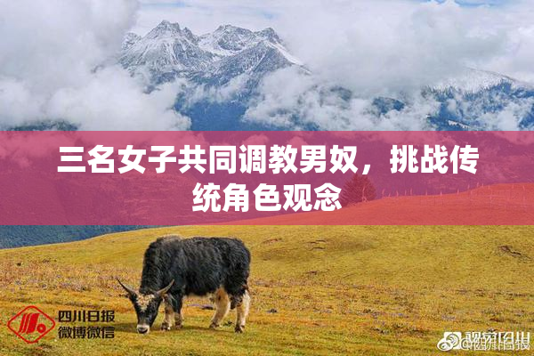 三名女子共同调教男奴，挑战传统角色观念
