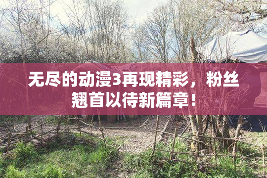 无尽的动漫3再现精彩，粉丝翘首以待新篇章！