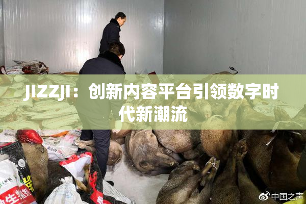 JIZZJI：创新内容平台引领数字时代新潮流