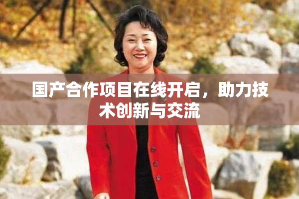 国产合作项目在线开启，助力技术创新与交流