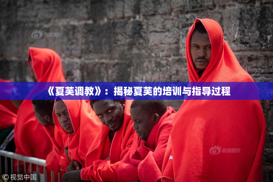 《夏芙调教》：揭秘夏芙的培训与指导过程