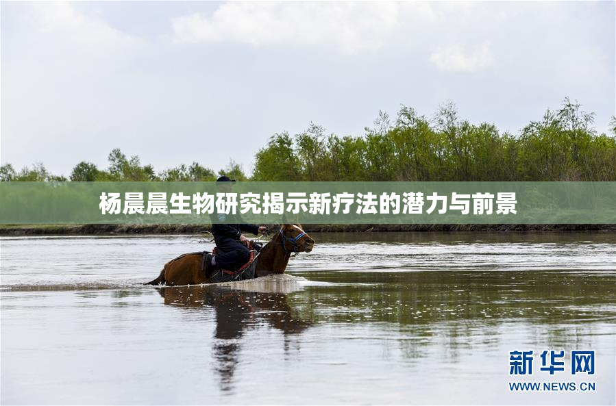 杨晨晨生物研究揭示新疗法的潜力与前景