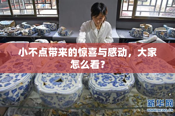 小不点带来的惊喜与感动，大家怎么看？