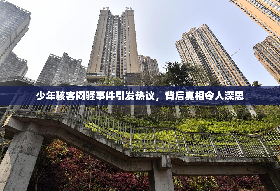 少年骇客闷骚事件引发热议，背后真相令人深思