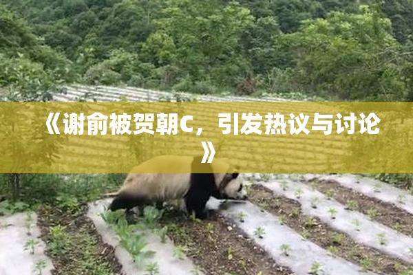 《谢俞被贺朝C，引发热议与讨论》