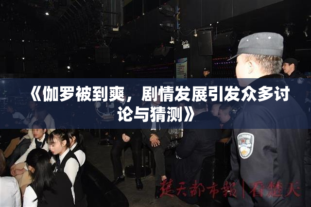 《伽罗被到爽，剧情发展引发众多讨论与猜测》