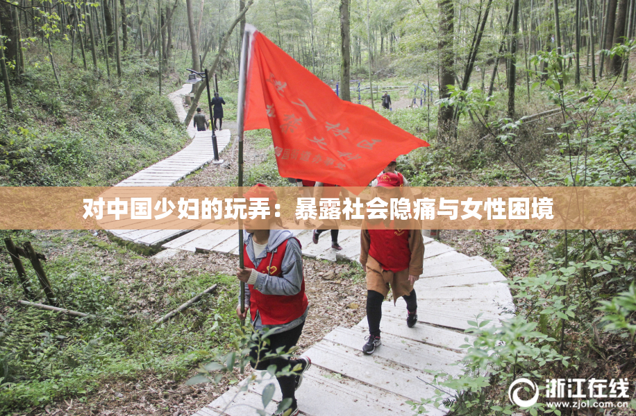 对中国少妇的玩弄：暴露社会隐痛与女性困境