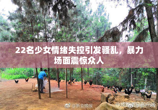 22名少女情绪失控引发骚乱，暴力场面震惊众人