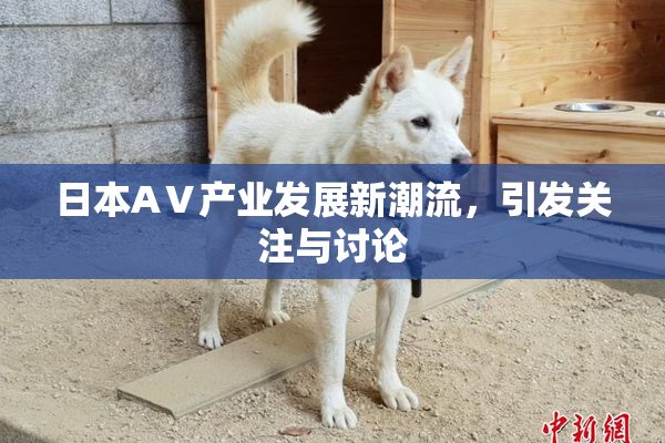 日本AⅤ产业发展新潮流，引发关注与讨论