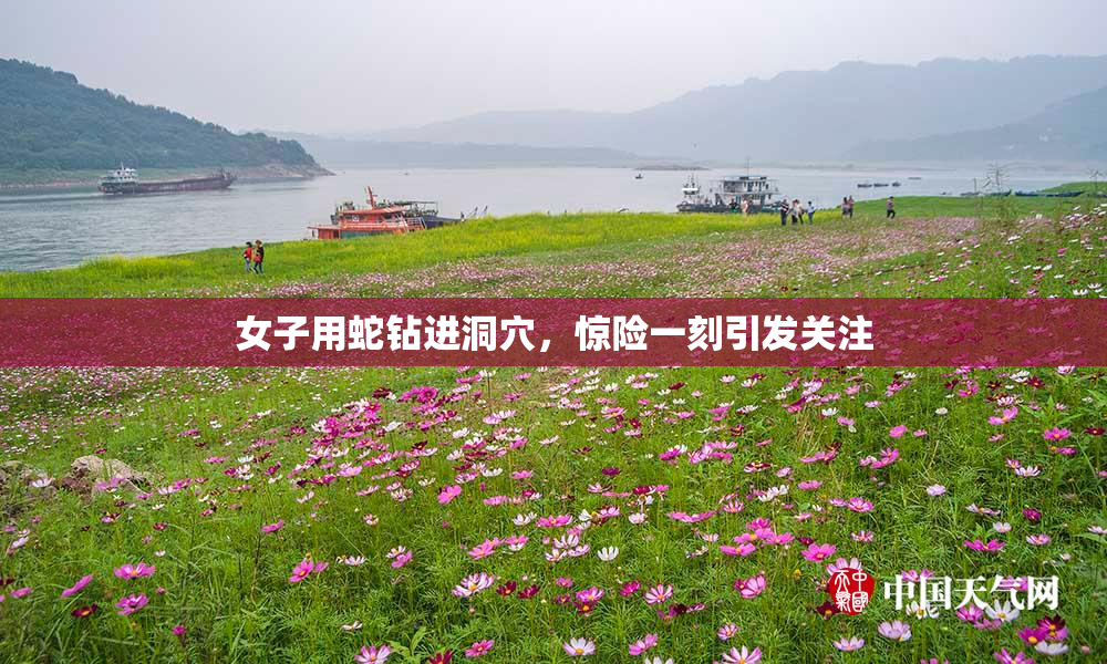 女子用蛇钻进洞穴，惊险一刻引发关注