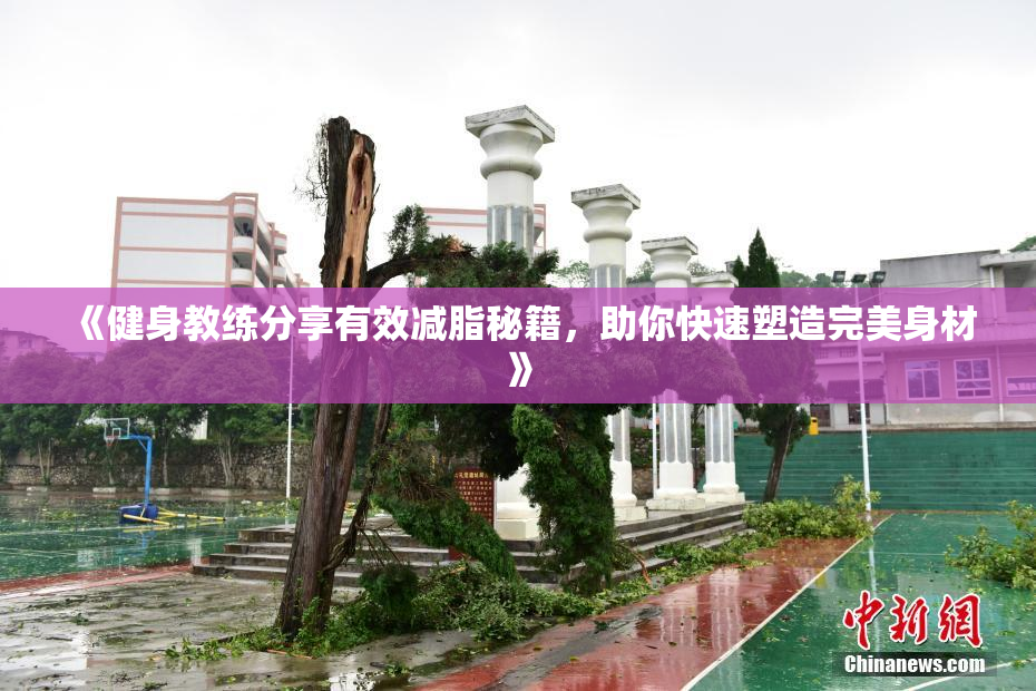 《健身教练分享有效减脂秘籍，助你快速塑造完美身材》