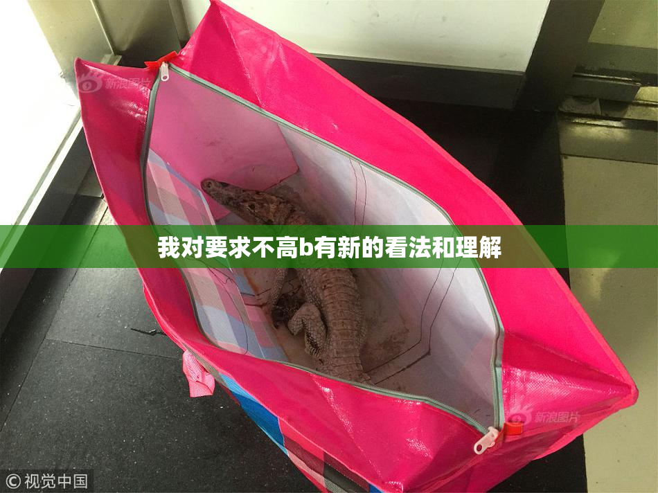 我对要求不高b有新的看法和理解