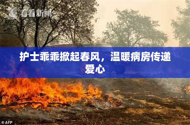 护士乖乖掀起春风，温暖病房传递爱心