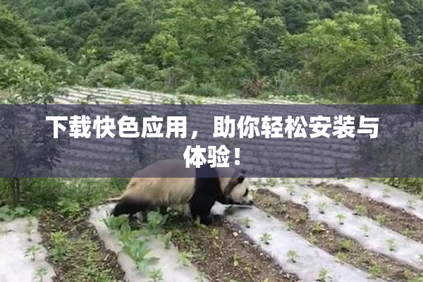 下载快色应用，助你轻松安装与体验！