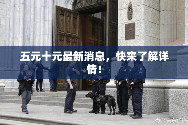 五元十元最新消息，快来了解详情！