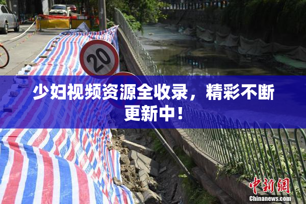少妇视频资源全收录，精彩不断更新中！