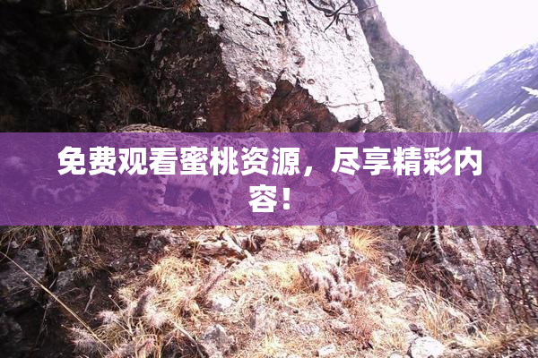 免费观看蜜桃资源，尽享精彩内容！