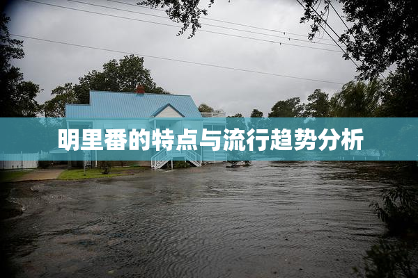 明里番的特点与流行趋势分析