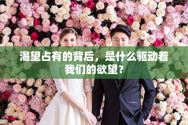 渴望占有的背后，是什么驱动着我们的欲望？