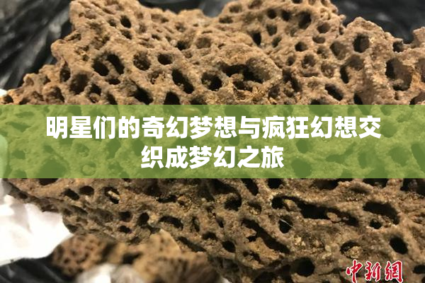 明星们的奇幻梦想与疯狂幻想交织成梦幻之旅
