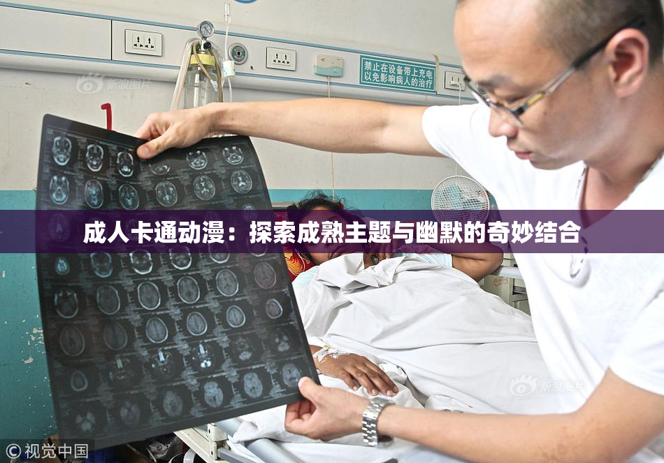 成人卡通动漫：探索成熟主题与幽默的奇妙结合