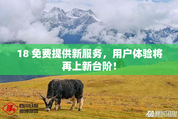 18 免费提供新服务，用户体验将再上新台阶！