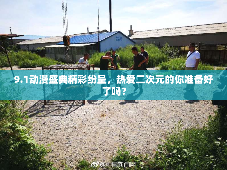 9.1动漫盛典精彩纷呈，热爱二次元的你准备好了吗？