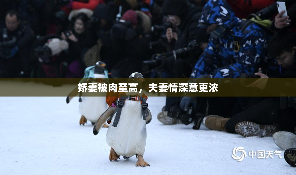 娇妻被肉至高，夫妻情深意更浓